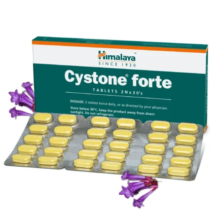 Himalaya Cystone Tablets